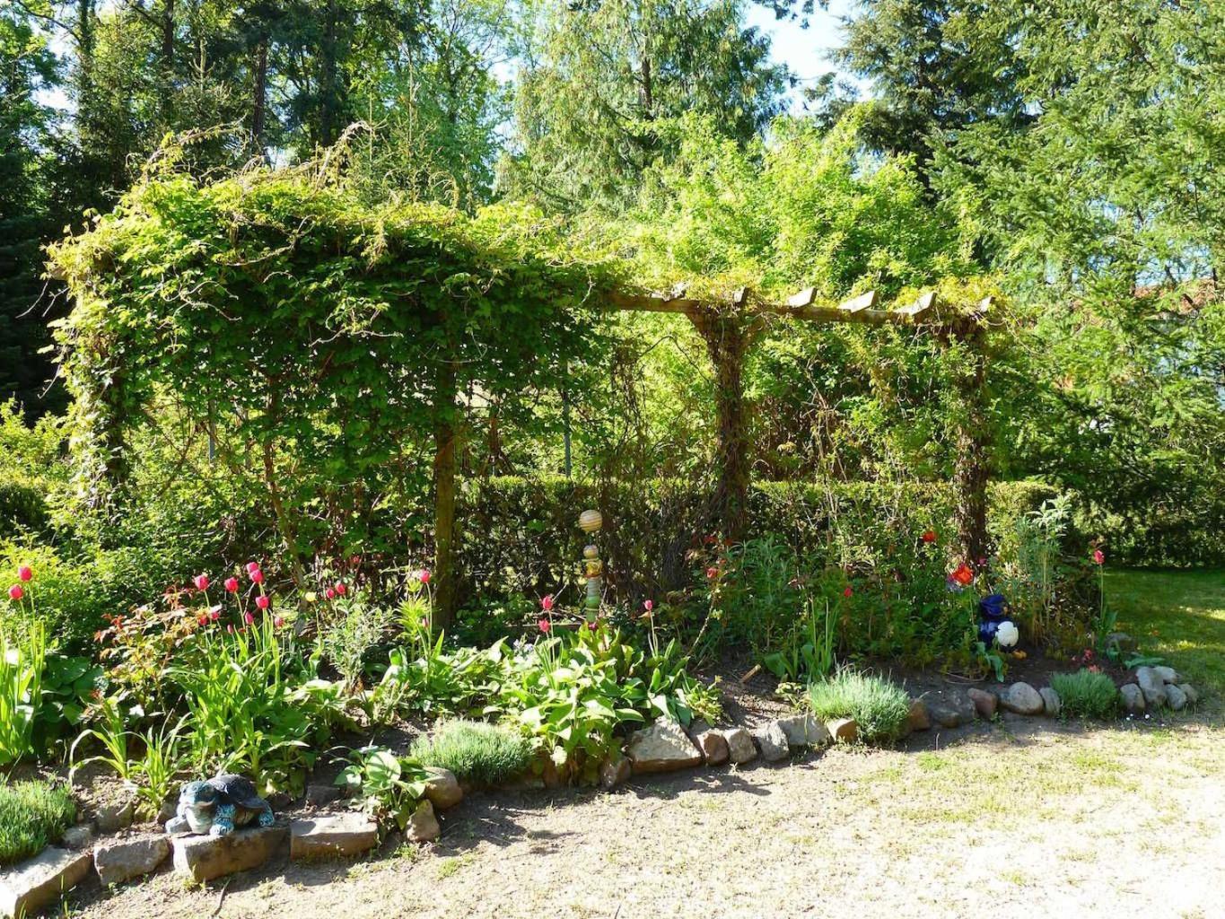 Ferienwohnung Villa Am Haussee Feldberger Seenlandschaft Екстериор снимка