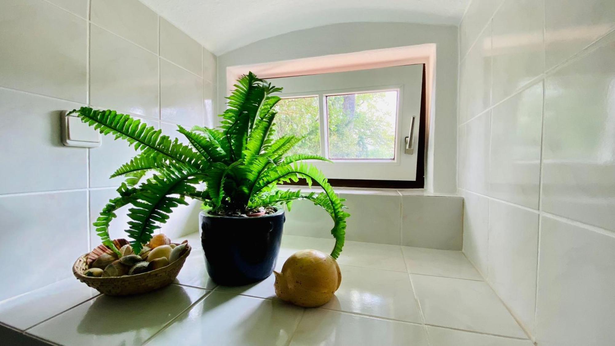 Ferienwohnung Villa Am Haussee Feldberger Seenlandschaft Екстериор снимка