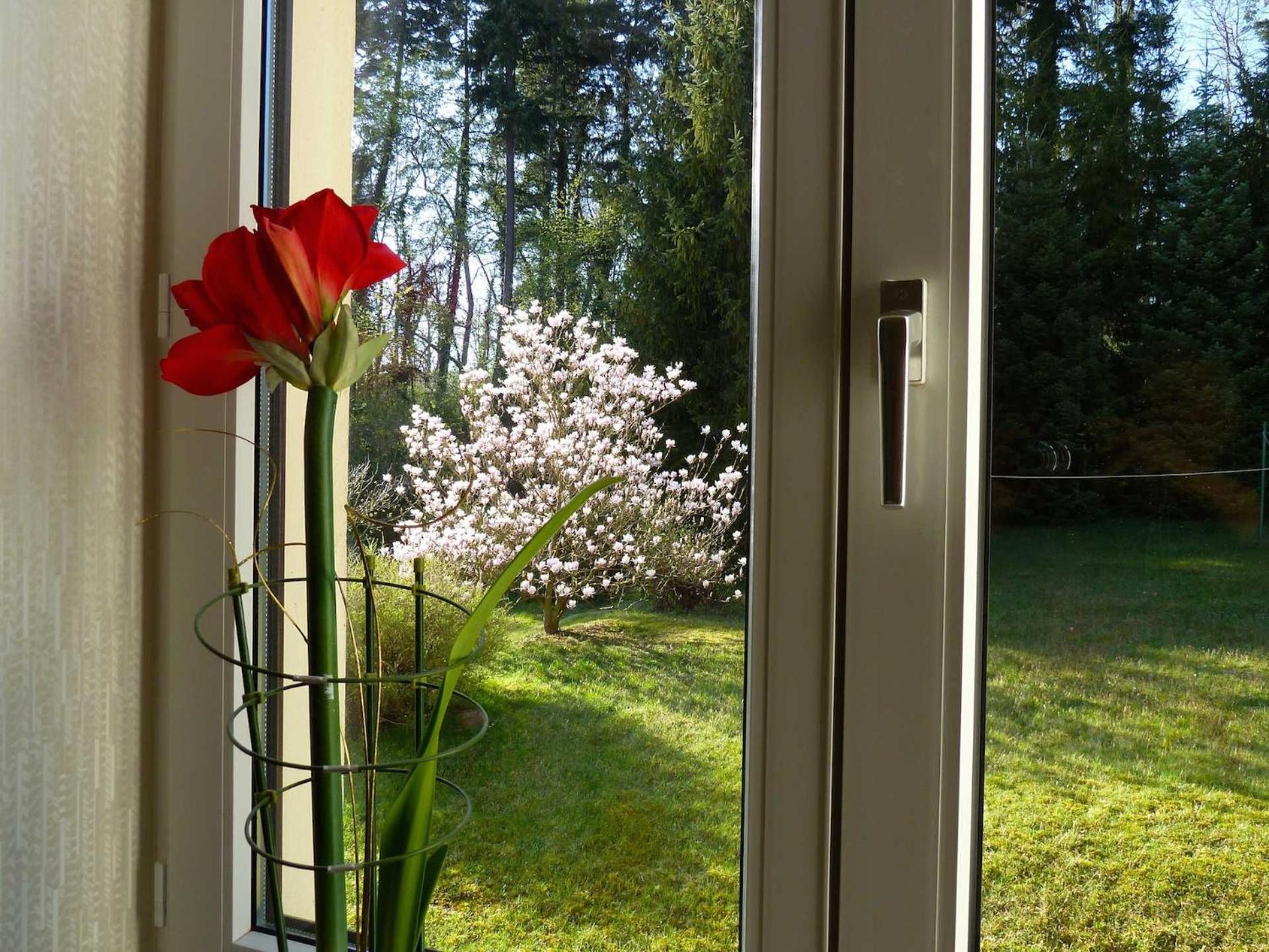 Ferienwohnung Villa Am Haussee Feldberger Seenlandschaft Екстериор снимка